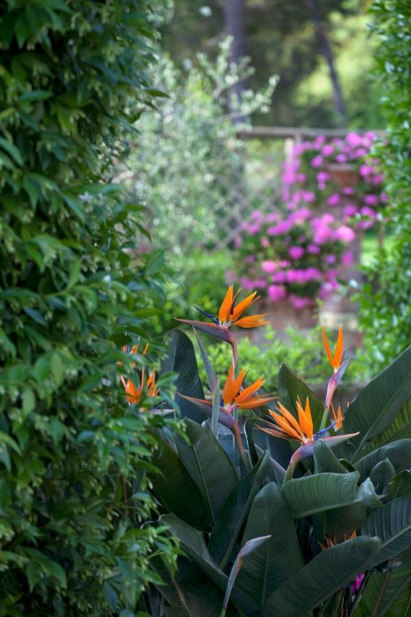 La Cervara Bed & Breakfast Santa Margherita Ligure Eksteriør bilde
